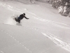 christian-hotham-backyard-2