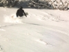 christian-hotham-backyard