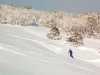 tim-backyard-hotham