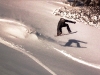 tim-hotham-backyard-2
