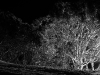 dscf5025-copy3