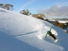 nosey-mount-hotham-3