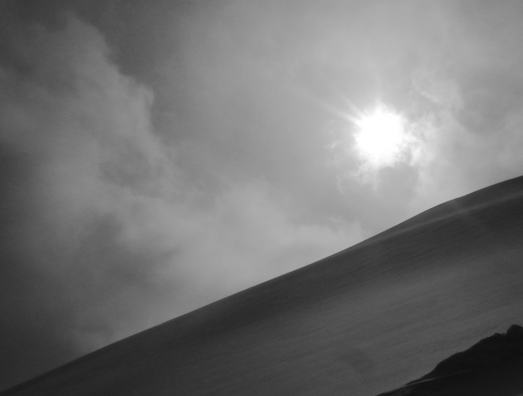 Image Powder Field in Niseko