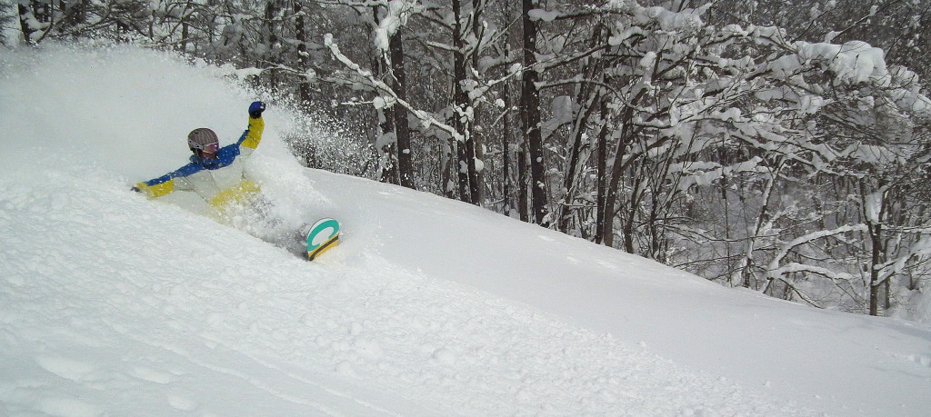 Image Deep pow slash in Niseko