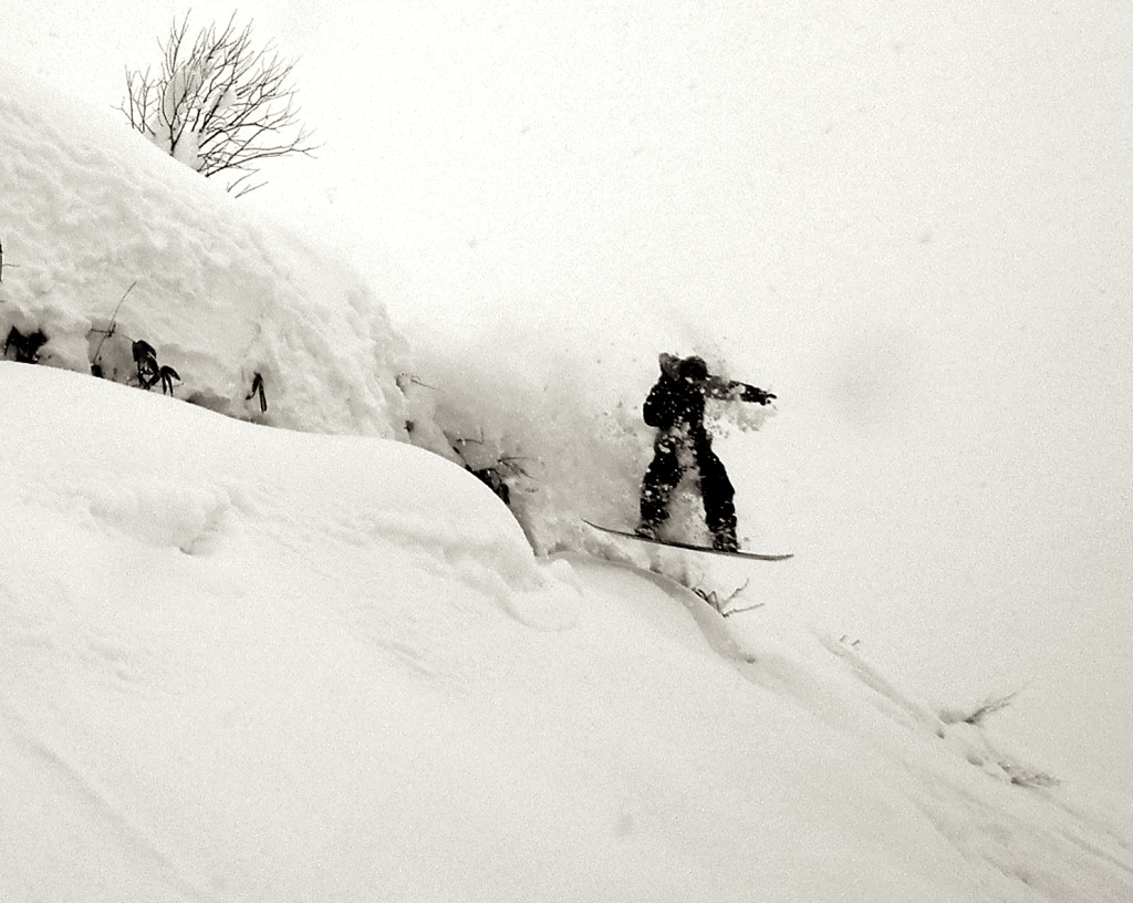 jack-ace-quad-black-and-white