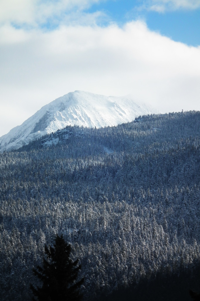 mountain peak whistler photo