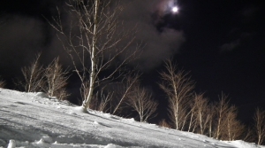 niseko hirafu night skiing
