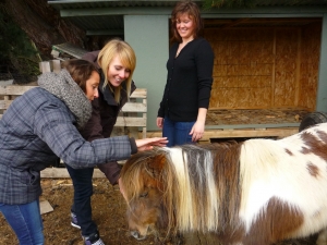 Pip's shetland pony