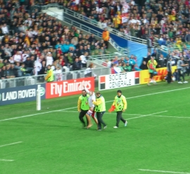 Lairy English bloke gets escorted off the pitch