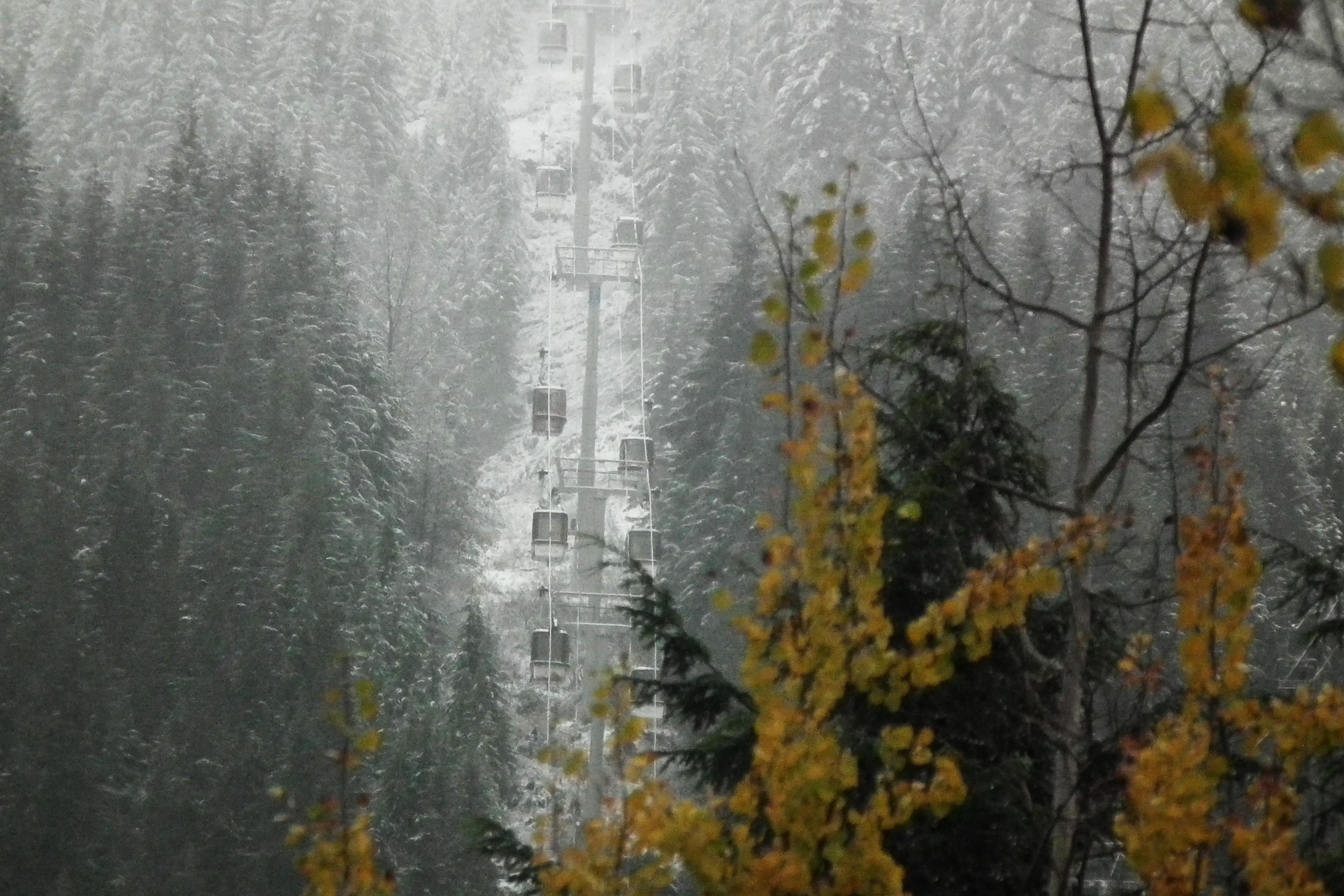 photo whistler village gondola